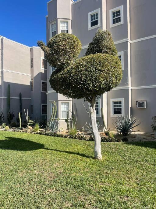 Departamento En 1Er Piso 2 Bdr 2Bath Tezal Apartment Cabo San Lucas Bagian luar foto